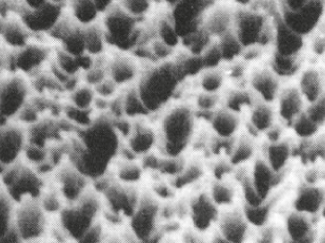 dopo plasma-etching (Demo)