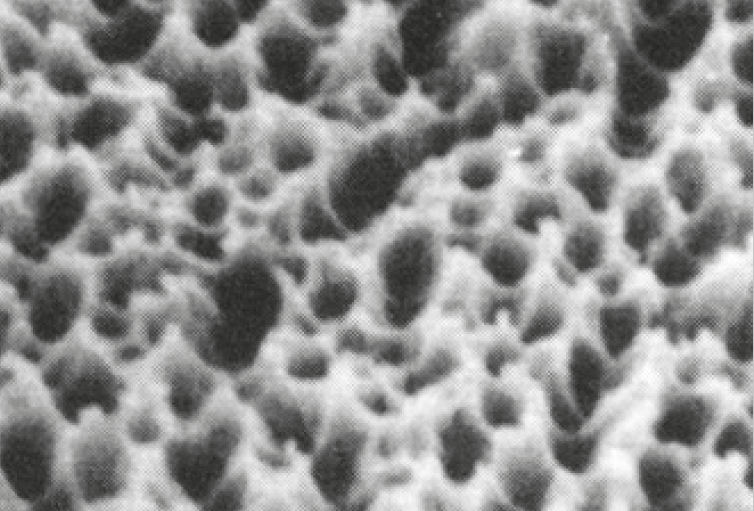 dopo plasma-etching (Demo)